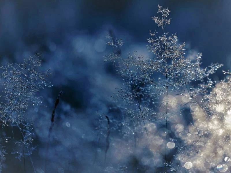 День Луки в народе отмечали 20 февраля