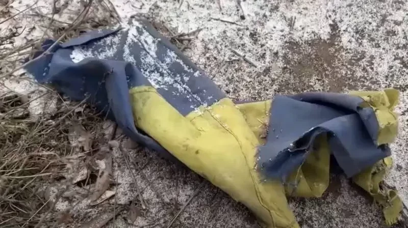 Депутат Рады: «красной линией» для Украины на мирных переговорах являются не территории, а рост потерь ВСУ