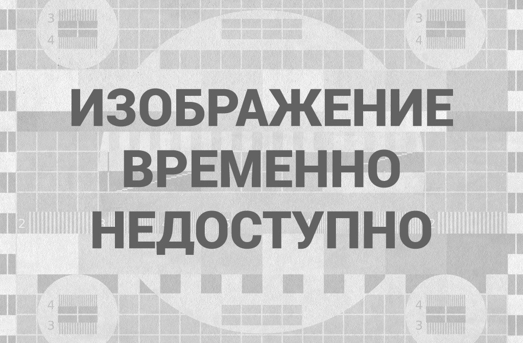 В ЛДПР разъяснили текущее состояние Жириновского