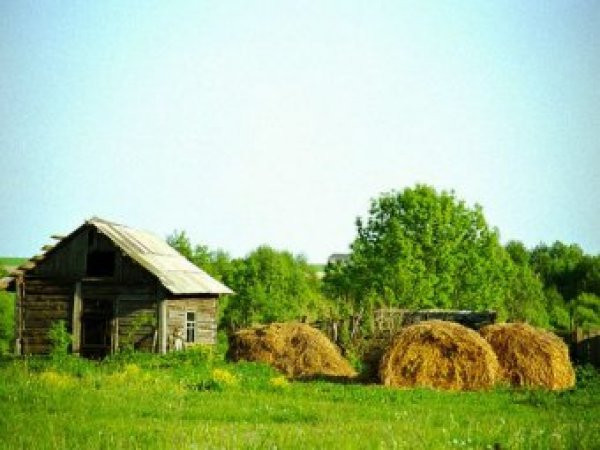 Каким будет сентябрь и урожай картофеля, можно узнать из примет и поверий на 15 августа 2022 года