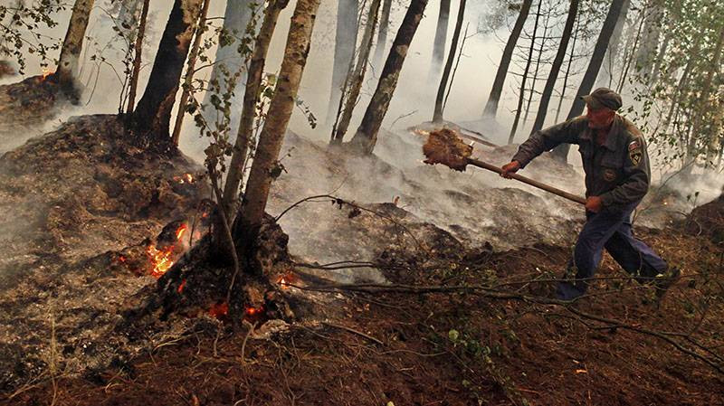 Пожарные продолжают бороться с огнем в Рязанской области 18 августа 2022 года