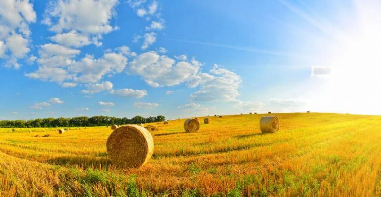 Многие верующие озадачены вопросом, что можно кушать на Успение Святой Богородицы 28 августа 2022 года
