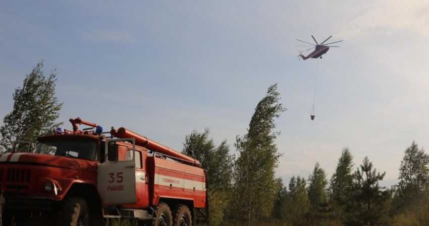 Врио главы Рязанской области прокомментировал ситуацию с пожарами в регионе