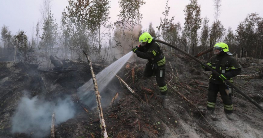 Почему в России появилась проблема с лесными пожарами