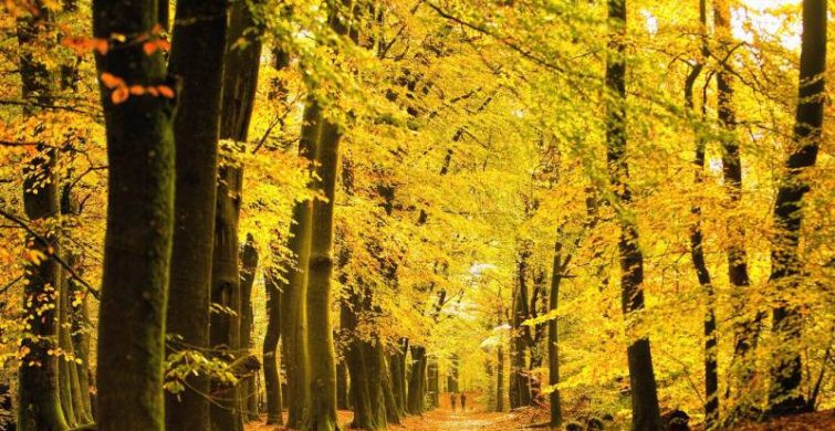 Россия и другие страны мира отмечают интересные праздники 18 сентября 2022 года