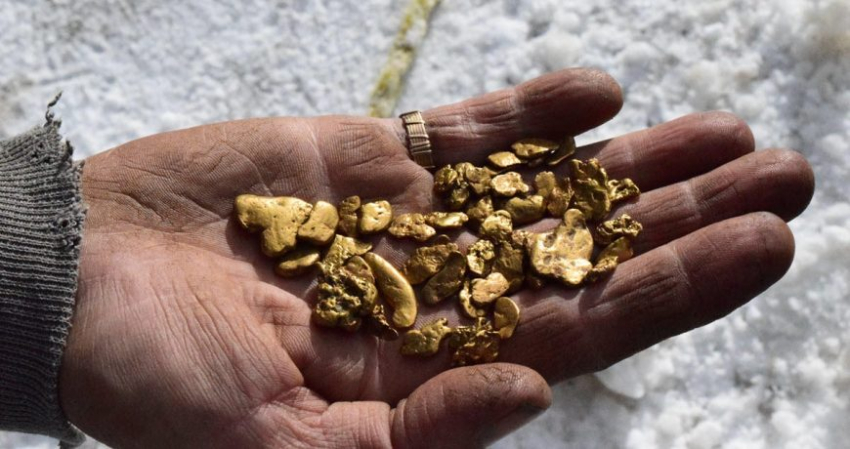 Власти Магаданской области ожидают скачок числа банкротств среди золотодобытчиков