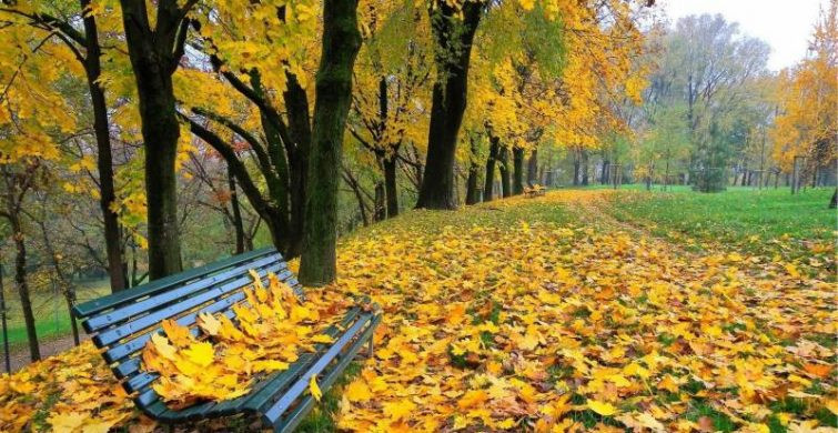 Родительская Покрова пройдет 8 октября 2022 года, в субботу