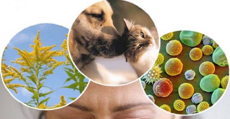 Красивые поздравления с Днём аллерголога 16 октября