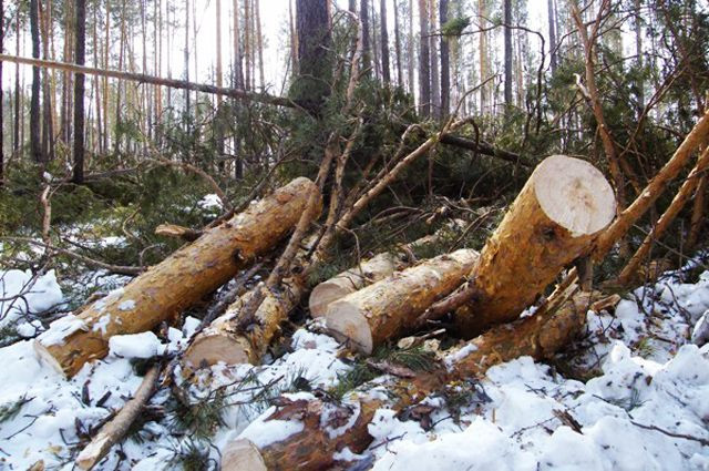 По приметам и поверьям на 22 октября 2022 года можно узнать, какой будет погода в ближайшее время