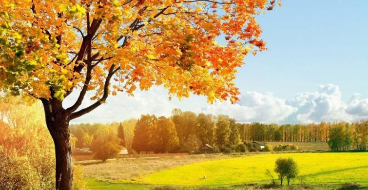 В день святого Дмитрия 26 октября стоит поздравить с именинами мужчин с таким именем