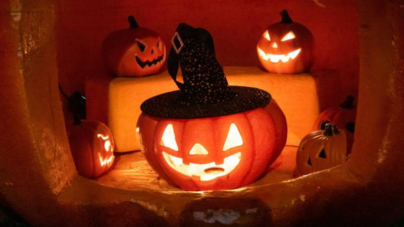 Встречаем Хэллоуин-2022: как быстро и просто создать в доме празднично-жуткую атмосферу
