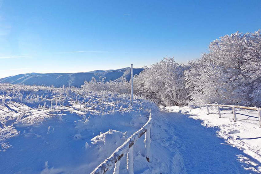 Никакие игры на рынке энергоносителей не отменят зиму