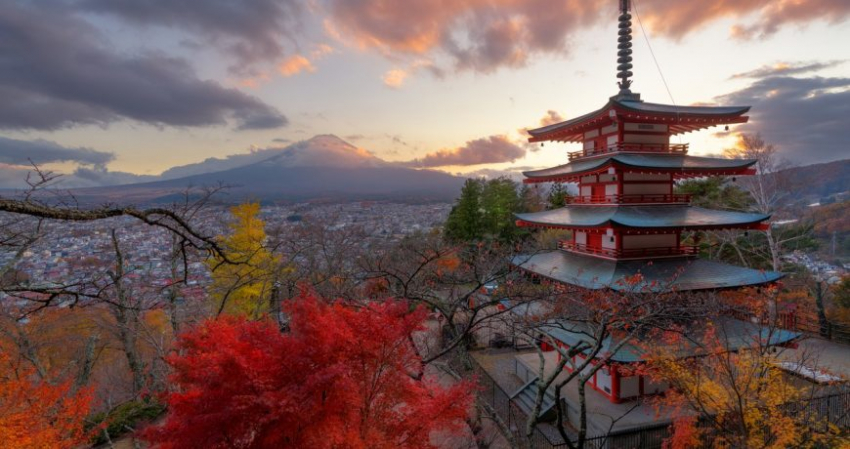 Китайский гороскоп на ноябрь 2022 года: прогноз важных событий