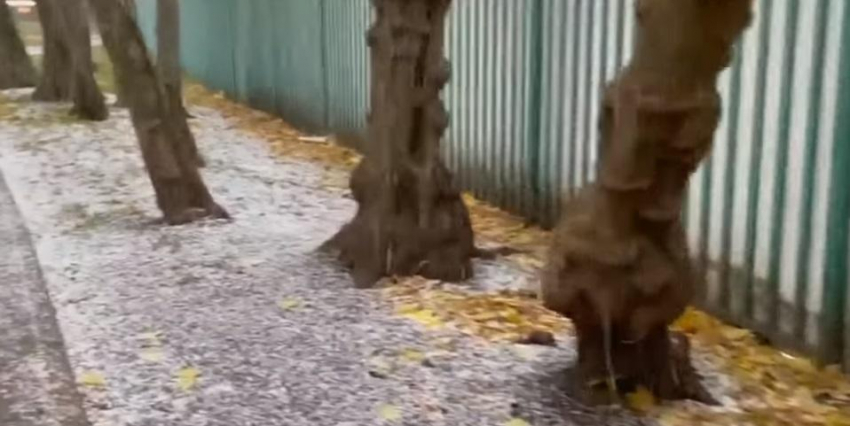 Роман Вильфанд спрогнозировал в Европе не теплую зиму
