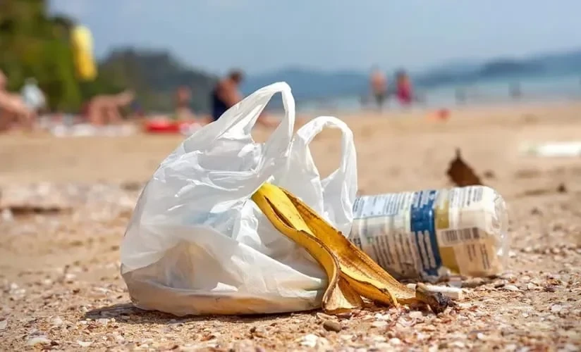 Чыныбаева: Главная проблема пластиковых пакетов — их утилизация