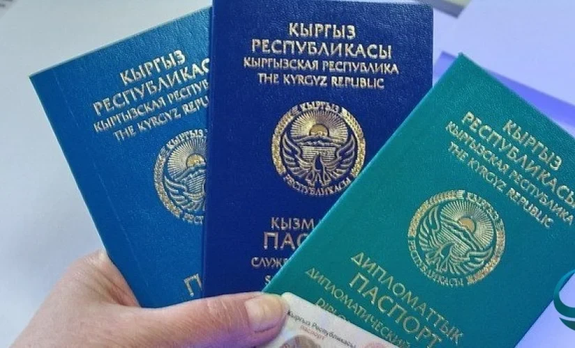 Приняты законопроекты о безвизе для держателей диппаспортов с рядом стран